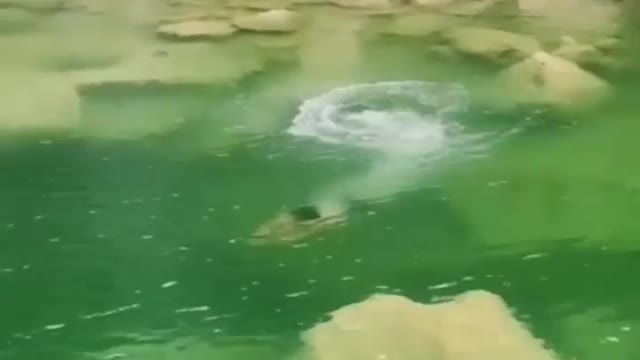 Apakah benar di curug ini ada buaya .