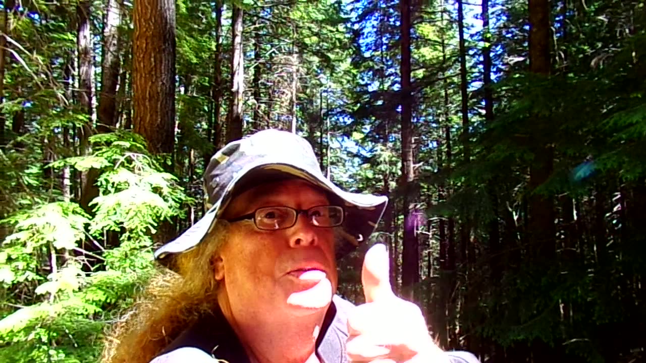 My trip into the wilderness, in the woods now 7/13/23: