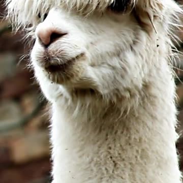 Find Your Peace: Discover How Relaxing This is? Volume 130