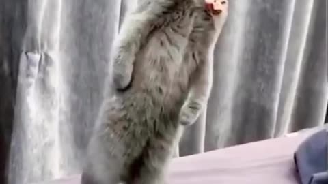 #funny#