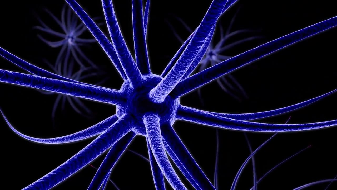 We're nothing but a pack of trillion neurons because trillion neurons have the unknown speed ever.