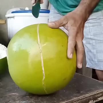 Su kabağı ( Calabash )