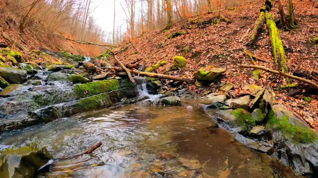 Wonderful Fall Moutain Stream