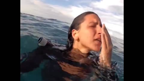 exciting encounter with humpback whales 🐋