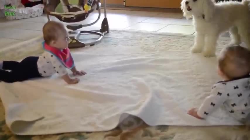 Funny Babies Laughing Hysterically at Dogs