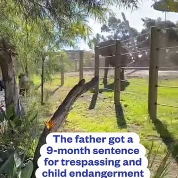 Guy Bring Newborn into Elephant Enclosure