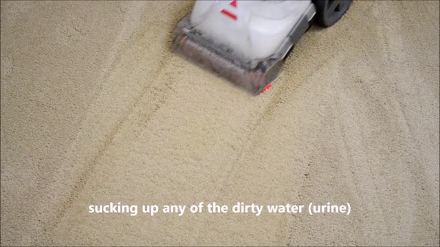 Bissell PowerForce® PowerBrush Upright Carpet Cleaner 76R9W Review Real World Test