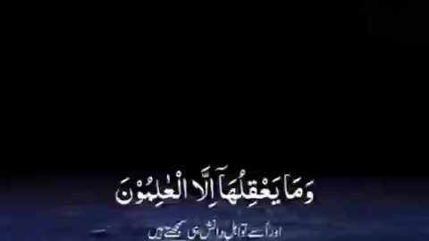 beautifu quran recitation ❣️