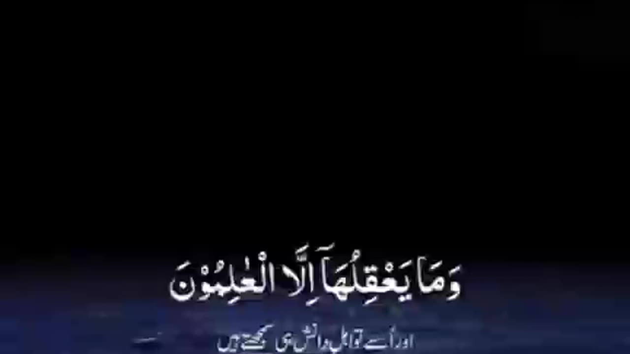 beautifu quran recitation ❣️