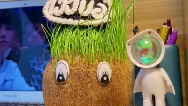 Grass Doll