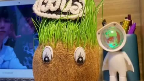 Grass Doll