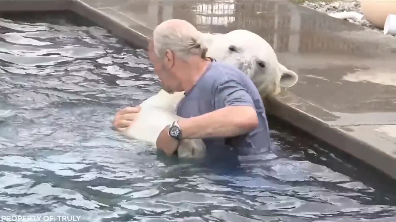 Lion Sees Her Adoptive Dad After 7 Years...