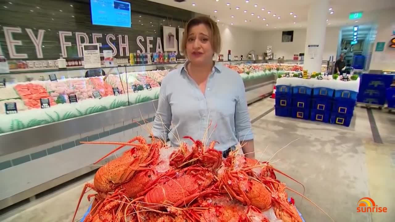 Why Australian lobsters are so cheap right now | 7NEWS