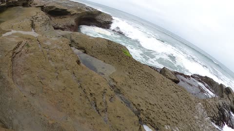 Sunset Cliffs of San Diego en Vivo...