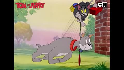 om and Jerry 😺🐭 The Most insane Feline and Mouse Disorder! 😺🐭 Amusing Kid's shows Gathering