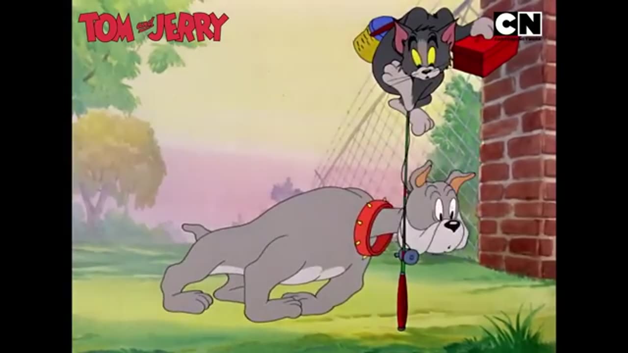 Tom and Jerry 😺🐭 The Most insane Feline and Mouse Disorder! 😺🐭 Amusing Kid's shows Gathering