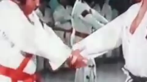 Elvis & Kenpo Karate