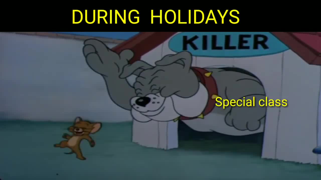 Funny Tom and Jerry during holiday