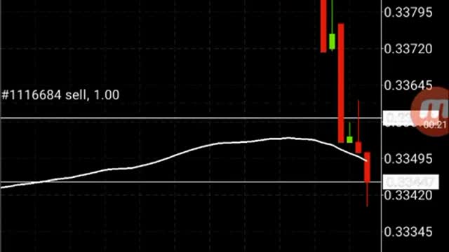 Scalping DOGECOIN on MetaTrader