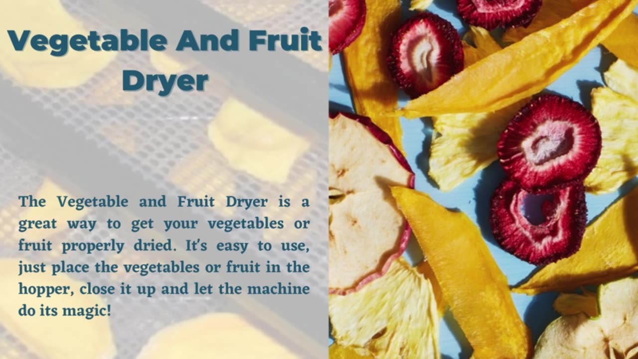 Vegetable And Fruit Dryer