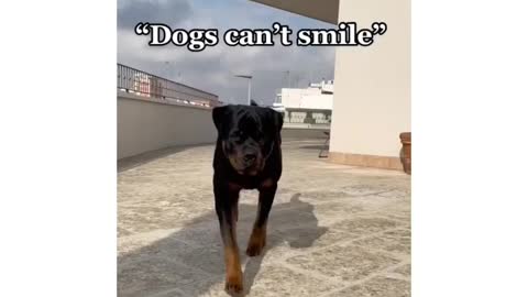 The head tilt made it everything via
