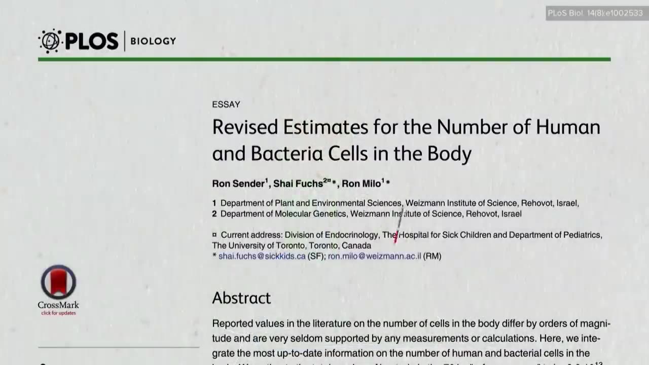 Evidence Based Weight Loss: Live Presentation