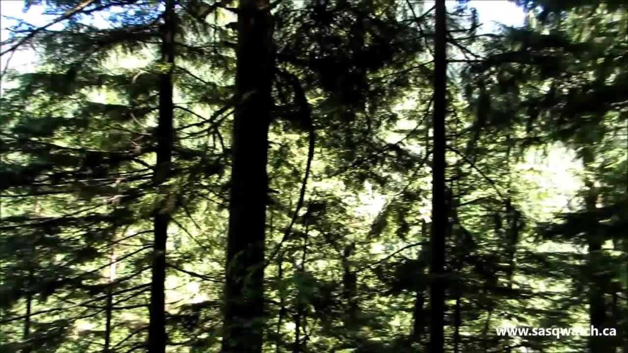 2015 Golden Ears Day Hike to lower falls - 1