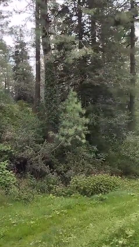 Trip to Pakistan 2024-27