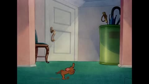 Tom and Jerry, Little Kitten Episode and More