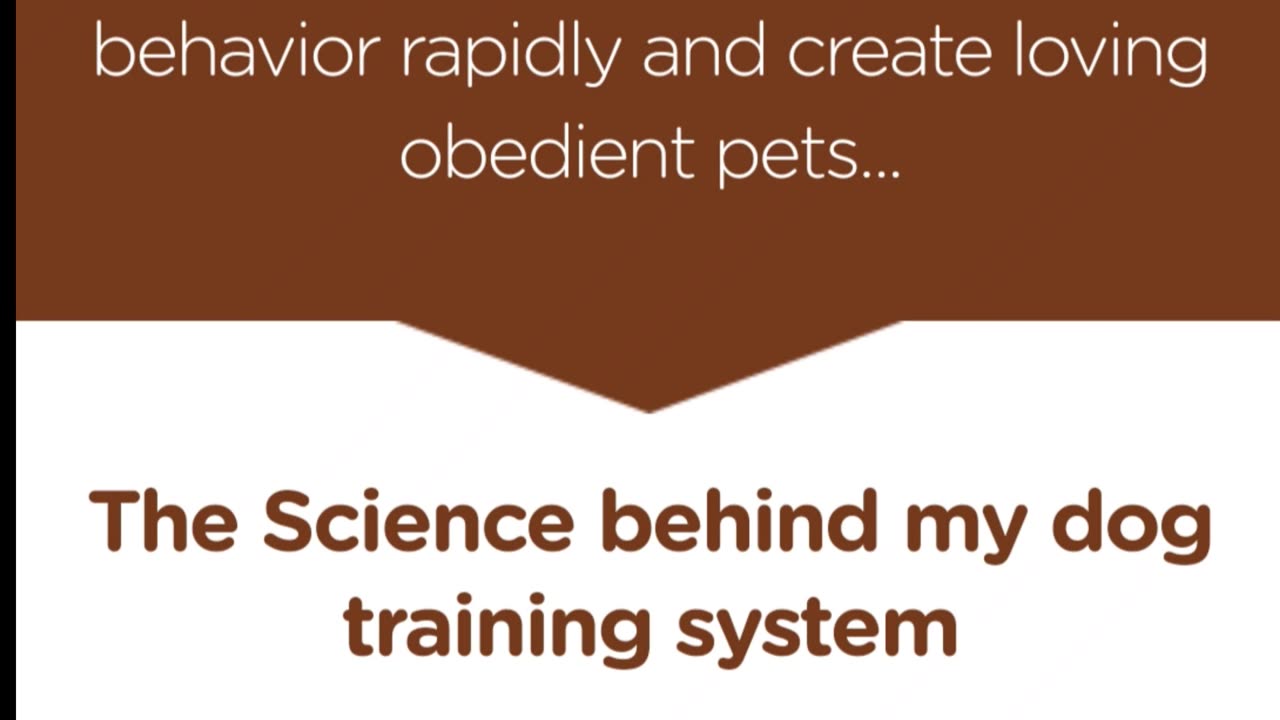 Best course to trained dog