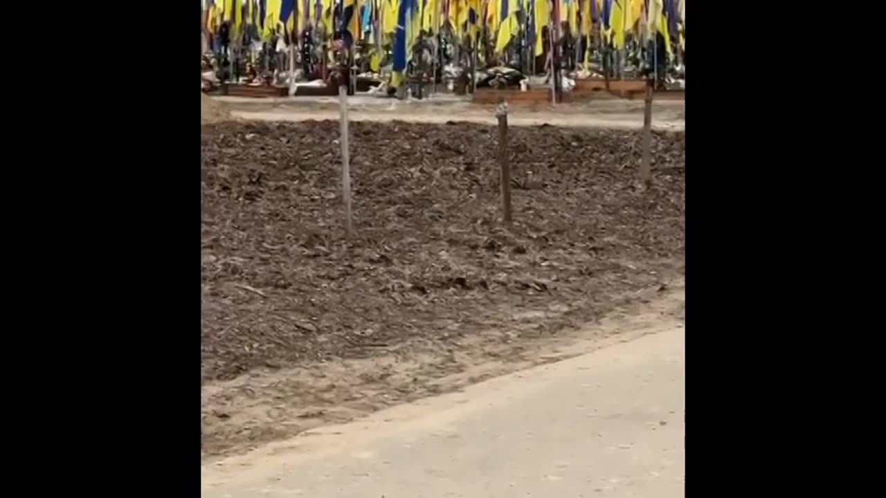 A Kharkov woman made a second video with the graves of Ukrainian Armed Forces