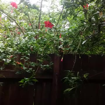 27.3.2024 Party in the Park