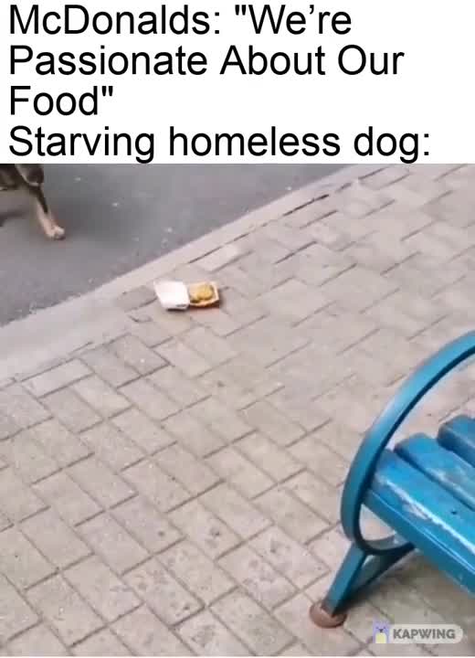 Shorts - Dogs Won't Eat McDonald's Hamburger