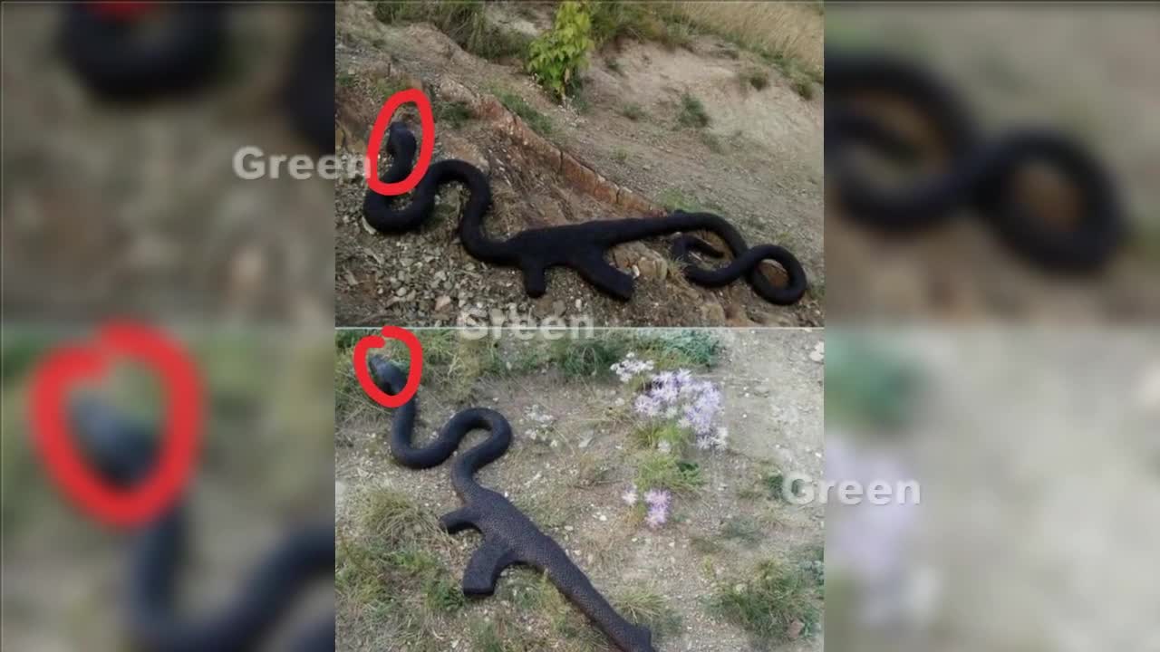 Snake Swallowed an AK-47 VIRAL NOW FROM 3 TOPVIDS GAMEYAASU YOUTUBE