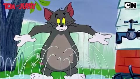 Tom & Jerry’s Fun Fest! 🤩 | #tomandjerry | Funny Cartoon video 😆 |