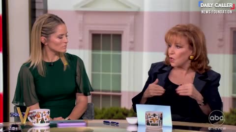 The View Has VIRAL MELTDOWN Over Trump Election Win lol