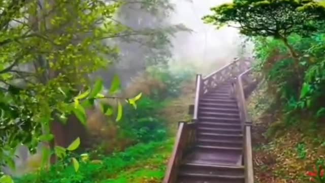Stairway to nature 😍