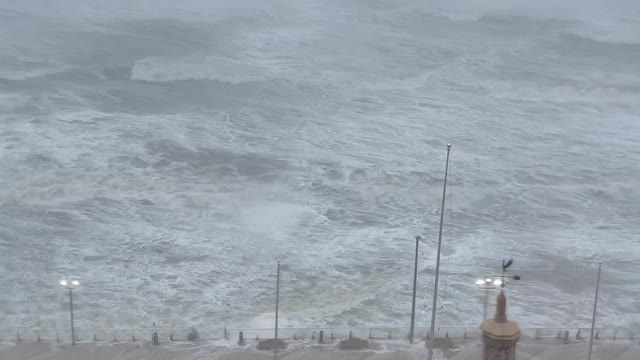 Wild Waves in Florida