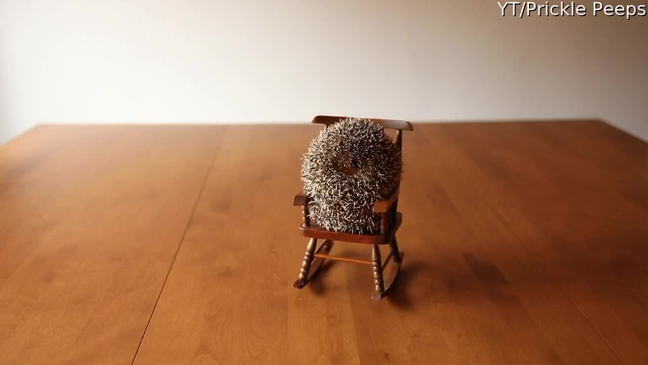 Prickly Pals Share Rocking Chair