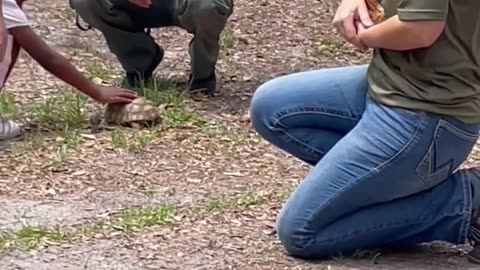 Tortoise and Snake at Hillsborough State Park in Thonotosassa Florida