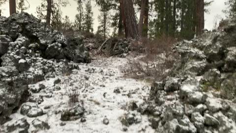 Traversing the Volcanic Zone – Central Oregon – Edison Sno-Park – 4K