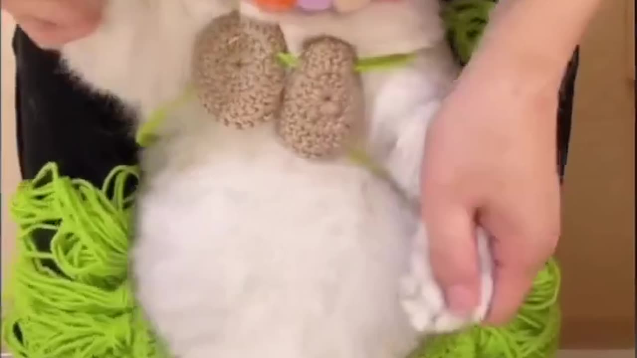 Funny Video 😂dance cat😻💃