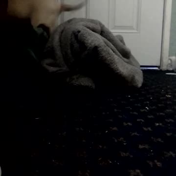 saut numéro... trois 🧡💛💚