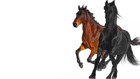 Lil Nas X - Old Town Road (feat. Billy Ray Cyrus) [Remix]