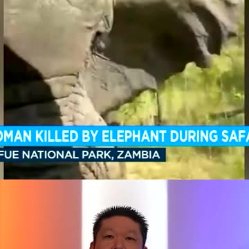 Disaster At A Safari