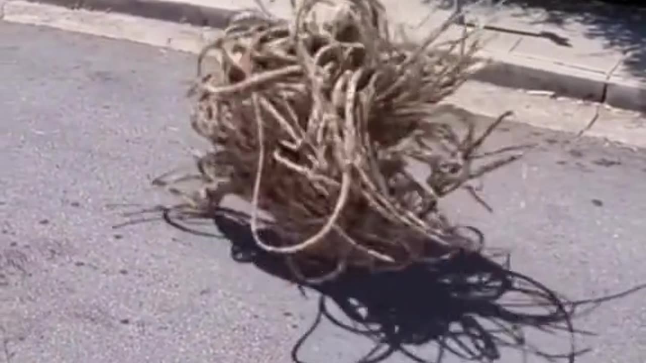 Mystery video