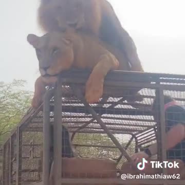 Public Display of Affection