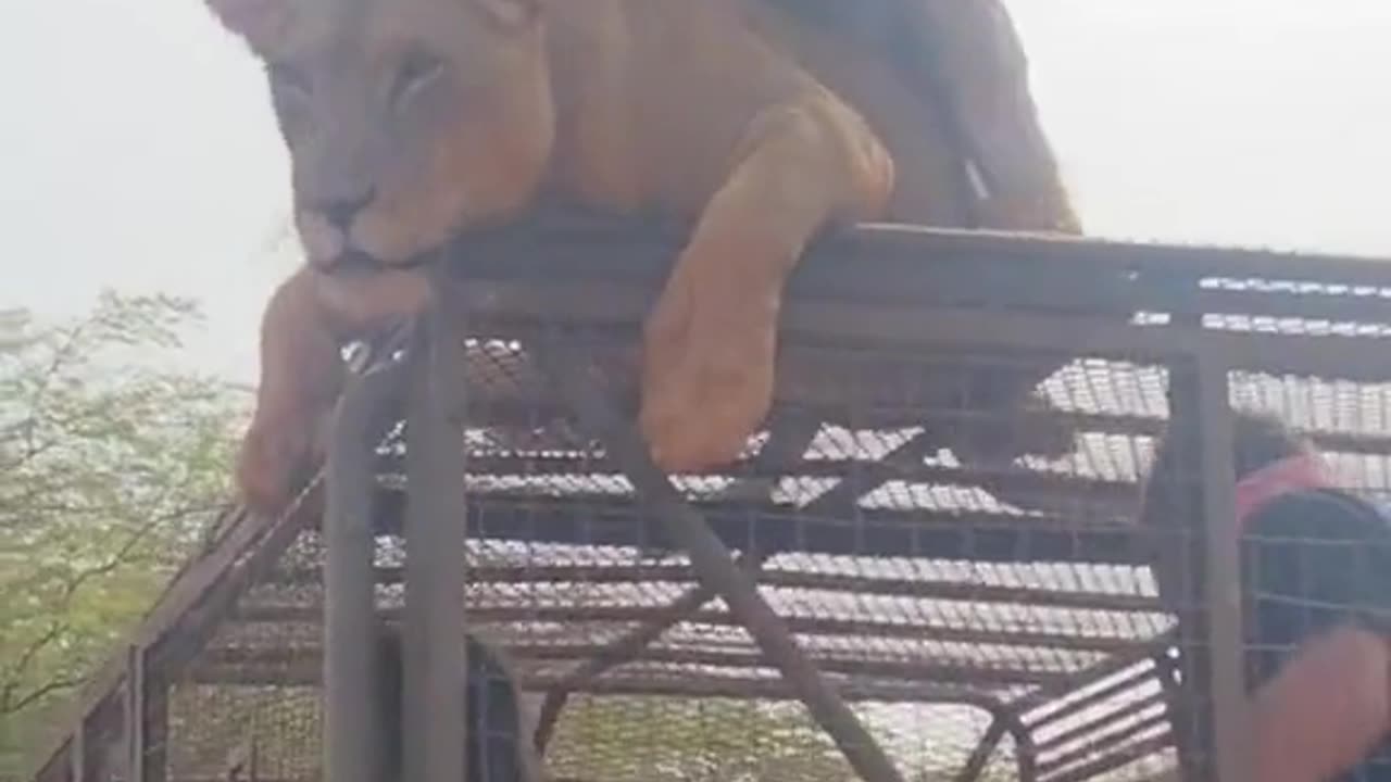 Public Display of Affection