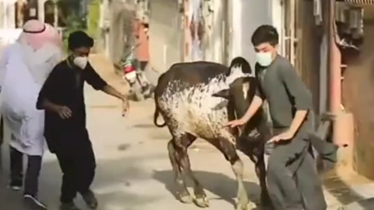 How much does the average cost of a house 🏠🏠🏡🏠the