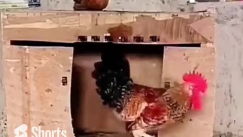 I Will Break Even Your Hundred Locks #shorts #viral #shortsvideo #video